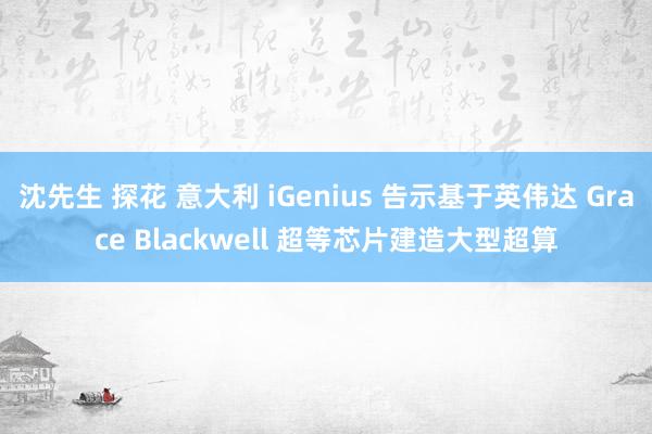 沈先生 探花 意大利 iGenius 告示基于英伟达 Grace Blackwell 超等芯片建造大型超算