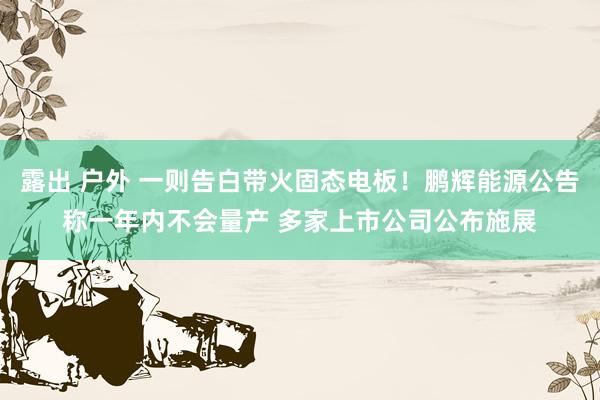 露出 户外 一则告白带火固态电板！鹏辉能源公告称一年内不会量产 多家上市公司公布施展