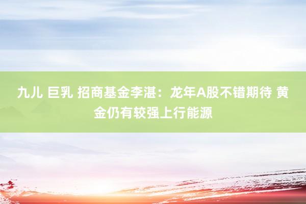 九儿 巨乳 招商基金李湛：龙年A股不错期待 黄金仍有较强上行能源