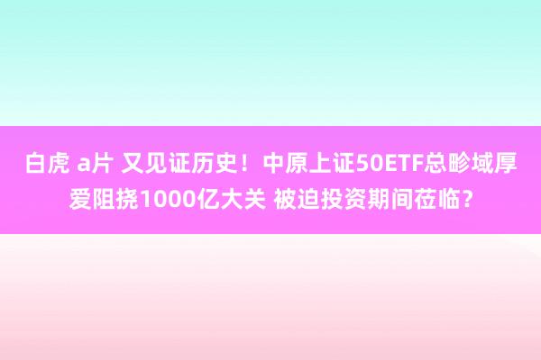 白虎 a片 又见证历史！中原上证50ETF总畛域厚爱阻挠1000亿大关 被迫投资期间莅临？