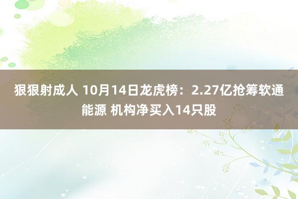 狠狠射成人 10月14日龙虎榜：2.27亿抢筹软通能源 机构净买入14只股