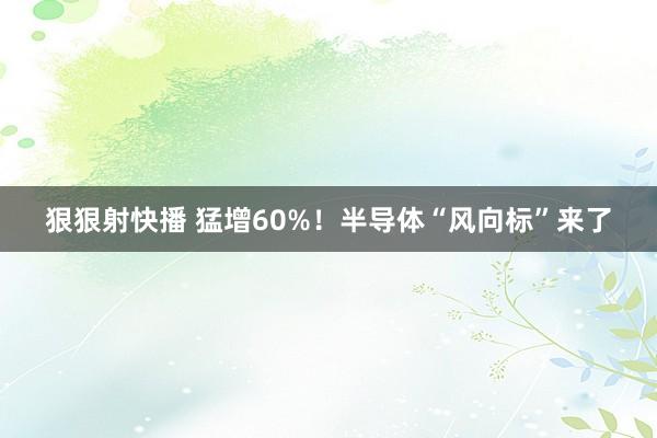 狠狠射快播 猛增60%！半导体“风向标”来了