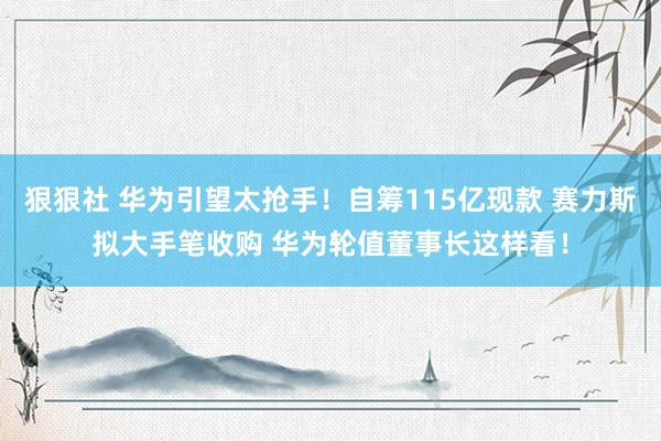 狠狠社 华为引望太抢手！自筹115亿现款 赛力斯拟大手笔收购 华为轮值董事长这样看！