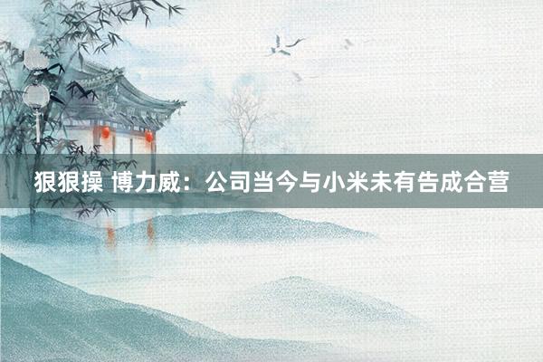 狠狠操 博力威：公司当今与小米未有告成合营