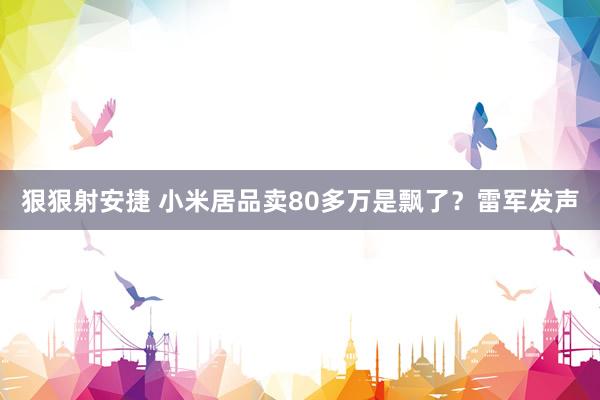 狠狠射安捷 小米居品卖80多万是飘了？雷军发声