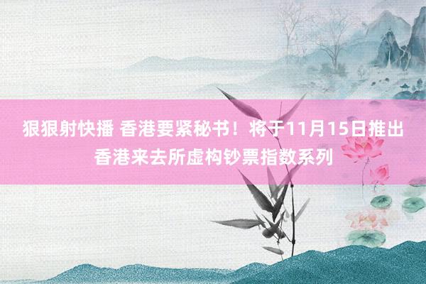 狠狠射快播 香港要紧秘书！将于11月15日推出香港来去所虚构钞票指数系列