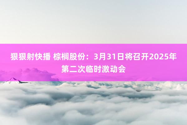 狠狠射快播 棕榈股份：3月31日将召开2025年第二次临时激动会