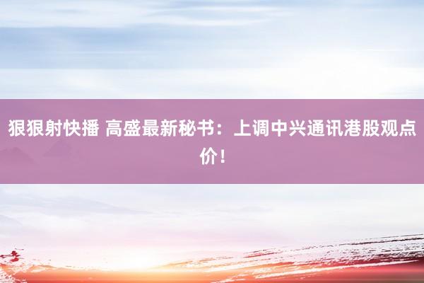 狠狠射快播 高盛最新秘书：上调中兴通讯港股观点价！
