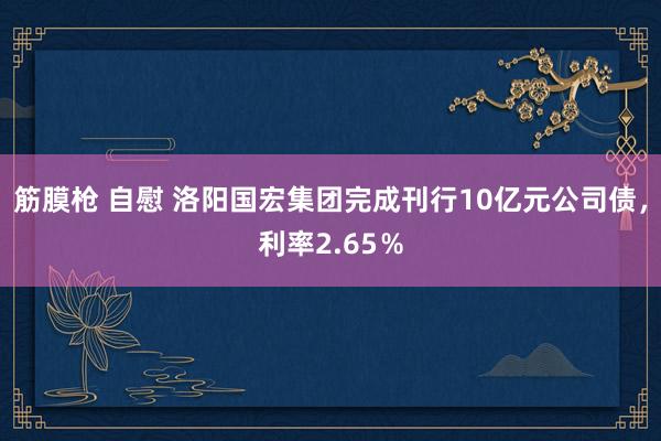 筋膜枪 自慰 洛阳国宏集团完成刊行10亿元公司债，利率2.65％