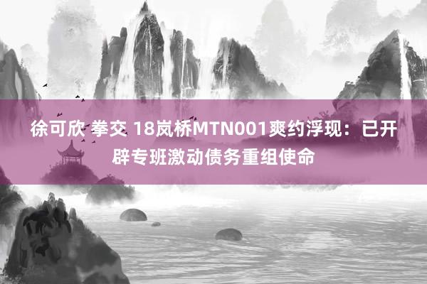 徐可欣 拳交 18岚桥MTN001爽约浮现：已开辟专班激动债务重组使命