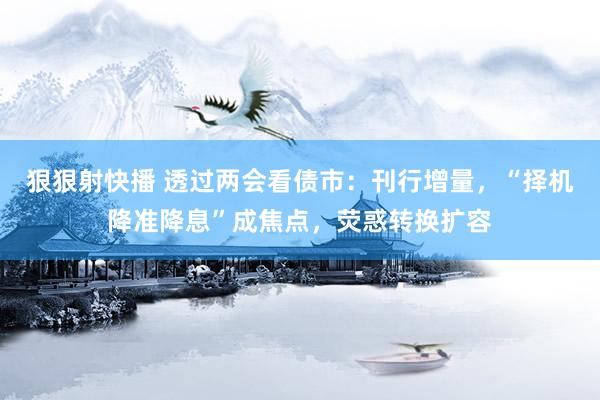 狠狠射快播 透过两会看债市：刊行增量，“择机降准降息”成焦点，荧惑转换扩容