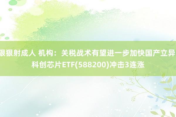 狠狠射成人 机构：关税战术有望进一步加快国产立异，科创芯片ETF(588200)冲击3连涨