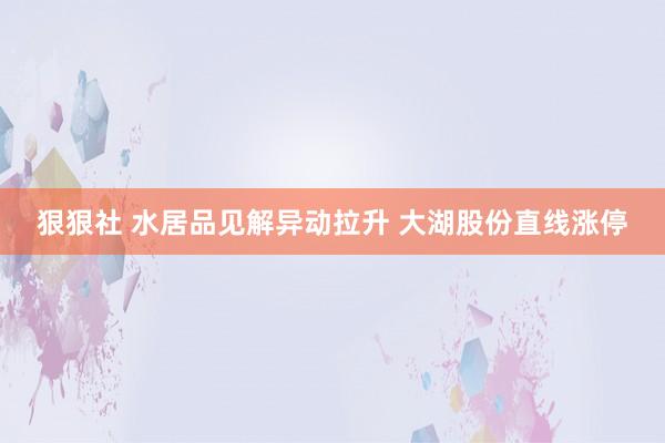 狠狠社 水居品见解异动拉升 大湖股份直线涨停