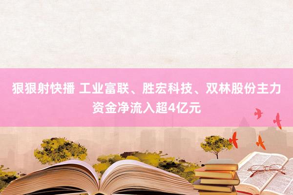 狠狠射快播 工业富联、胜宏科技、双林股份主力资金净流入超4亿元