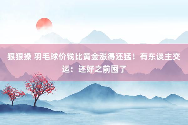 狠狠操 羽毛球价钱比黄金涨得还猛！有东谈主交运：还好之前囤了